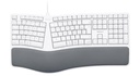 Ergonomic USB-keyboard for Mac - Azerty