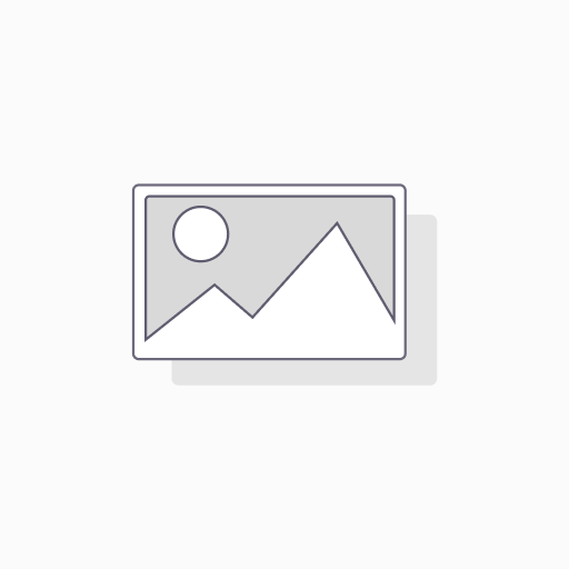 Office 2024 - Home & Student OEM -Medialess